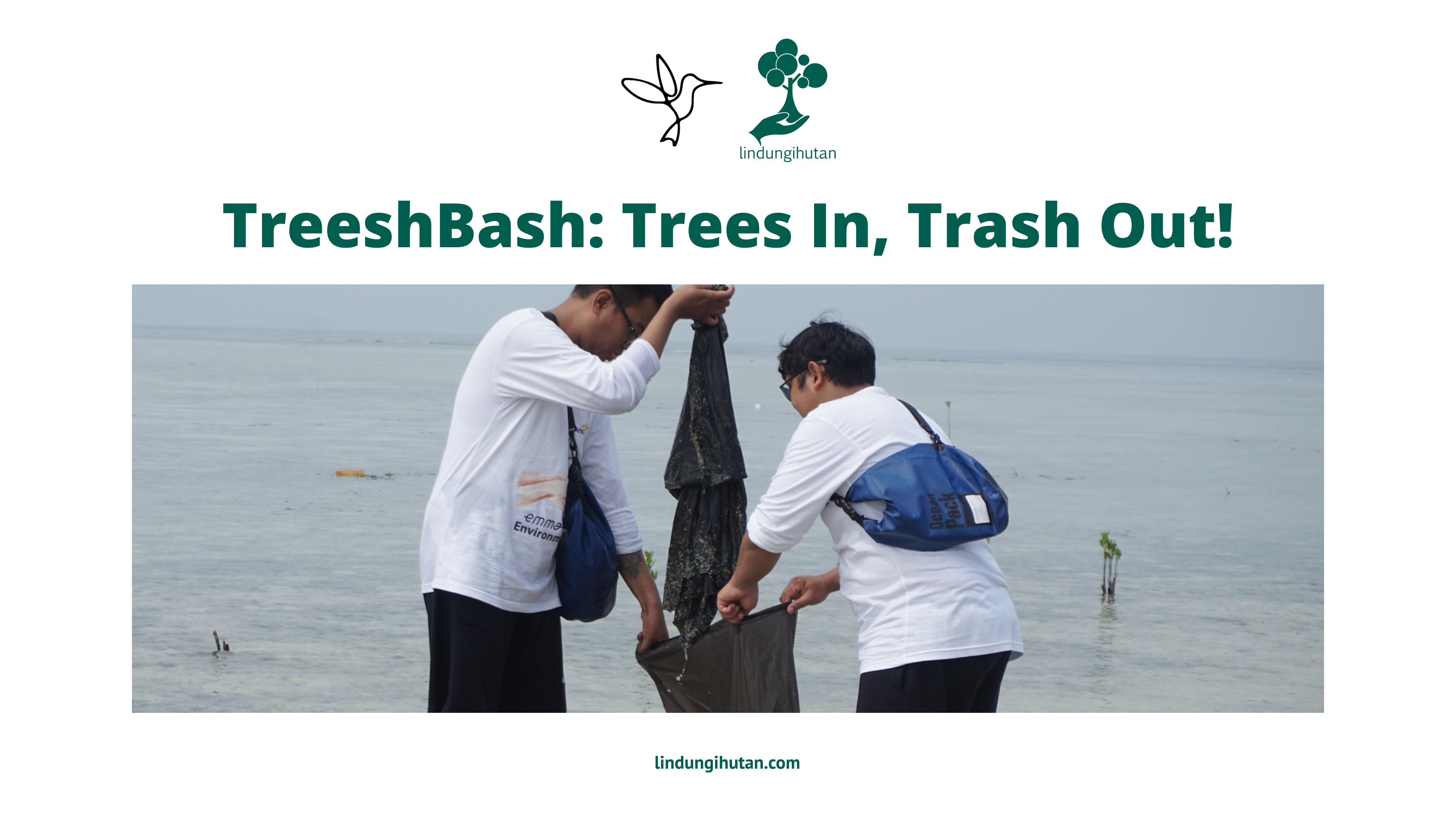 Thumbnail - Treeshbash (1).png