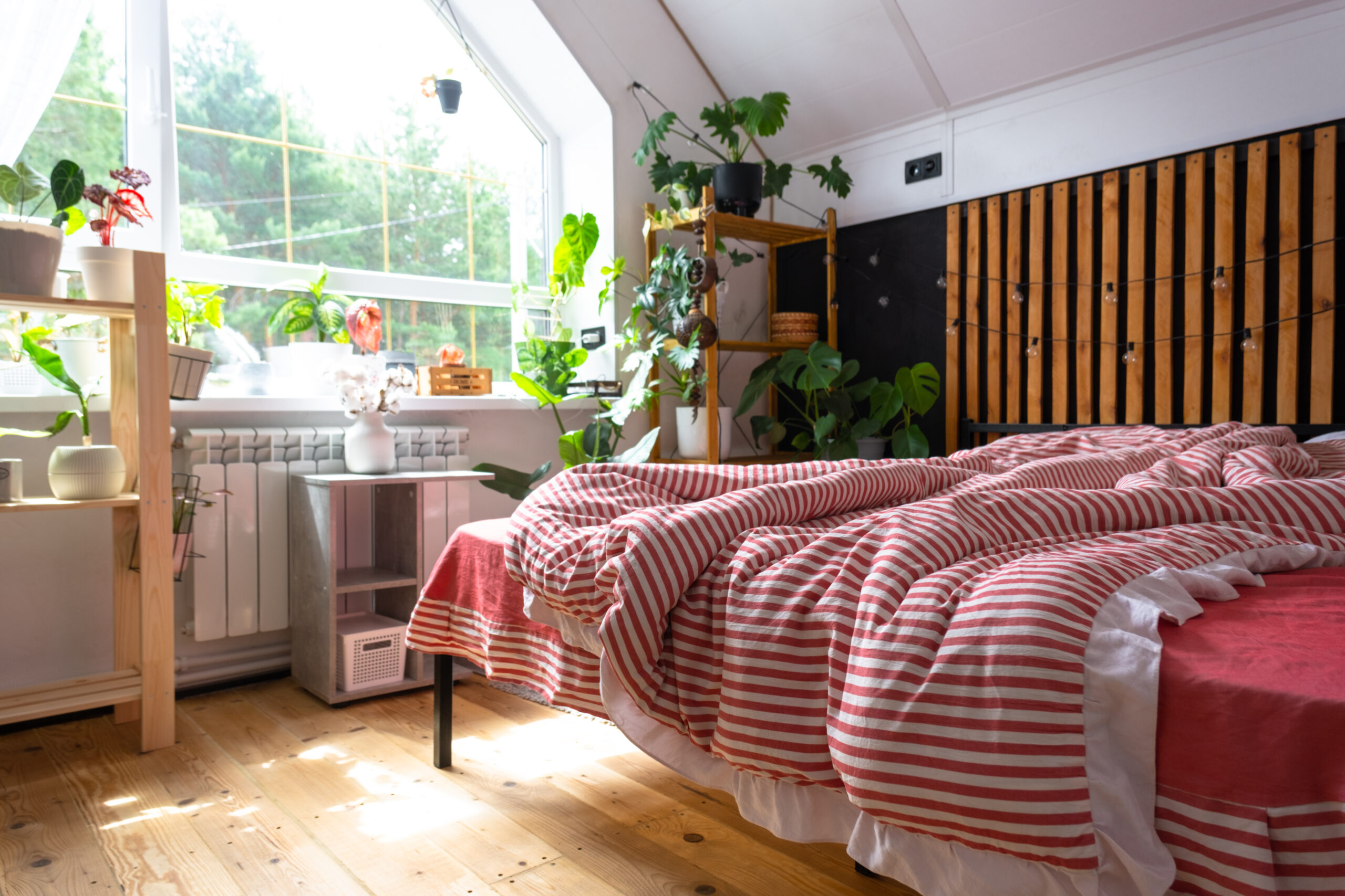 kamar aethetic.jpg