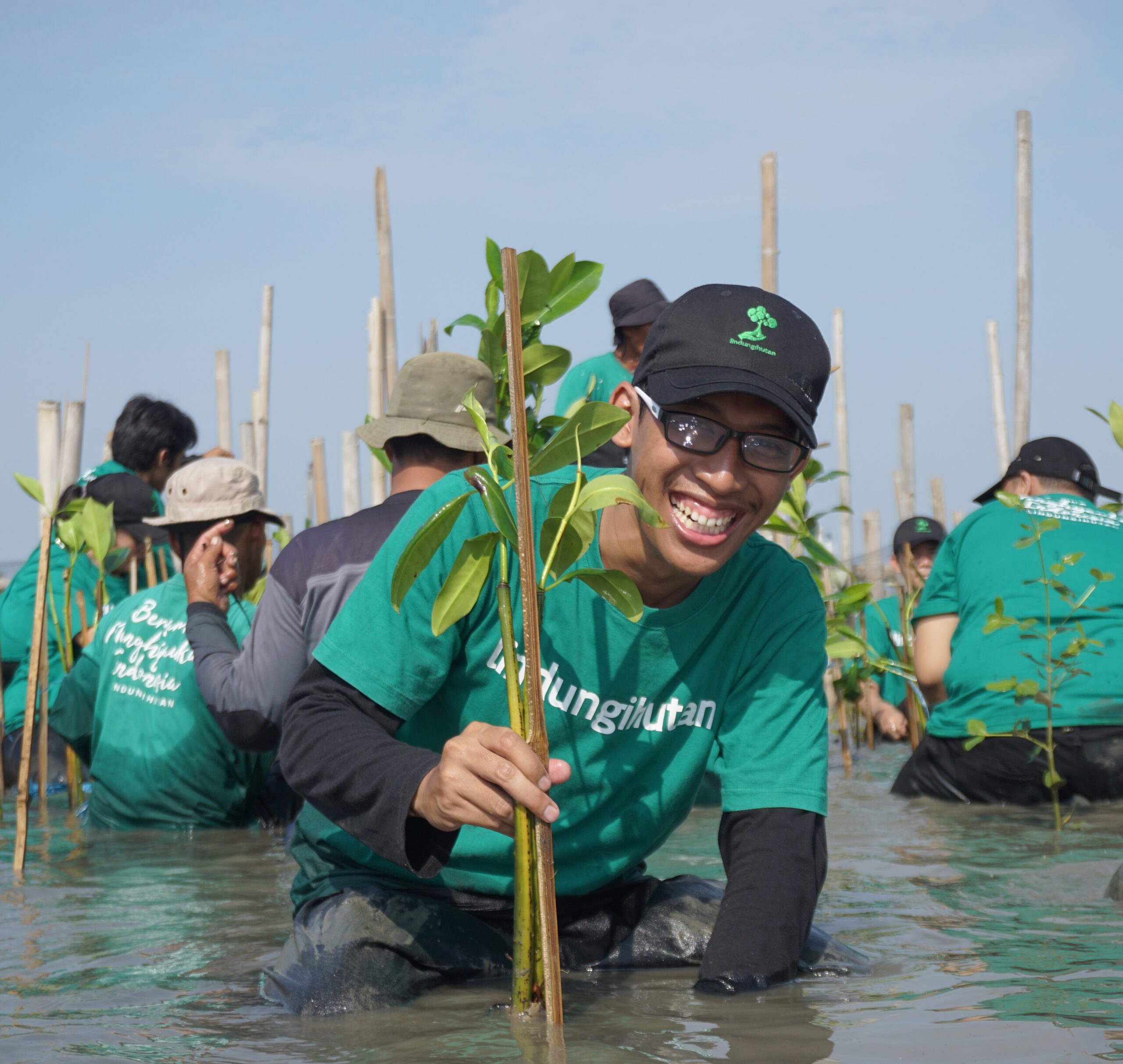 Penanaman mangrove Tambakrejo.JPG