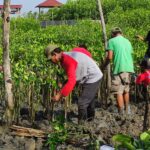 Pesisir Tambakrejo Semarang Menjadi Lokasi Perdana Penanaman LindungiHutan dan Kondisinya Saat Ini.jpg