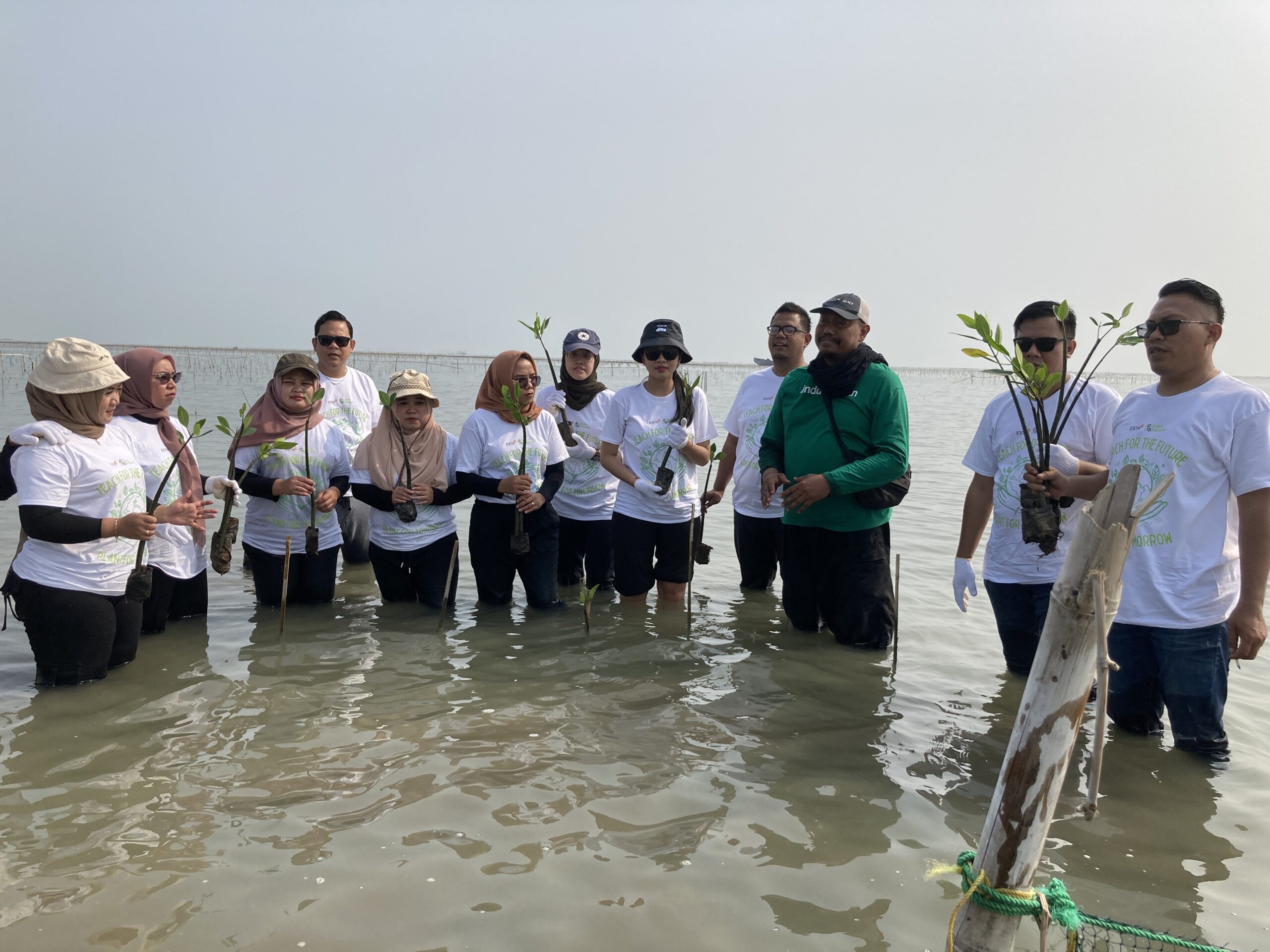 Aksi penanaman mangrove di Pesisir Pabean Ilir, Indramayu.