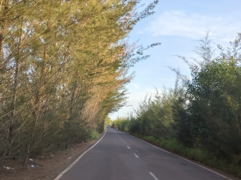 IMG20250615170606