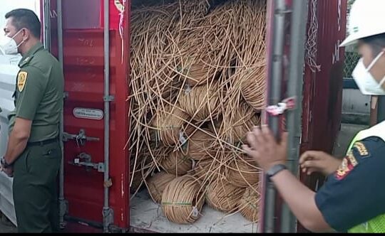 Rotan mentah (Dokumentasi)