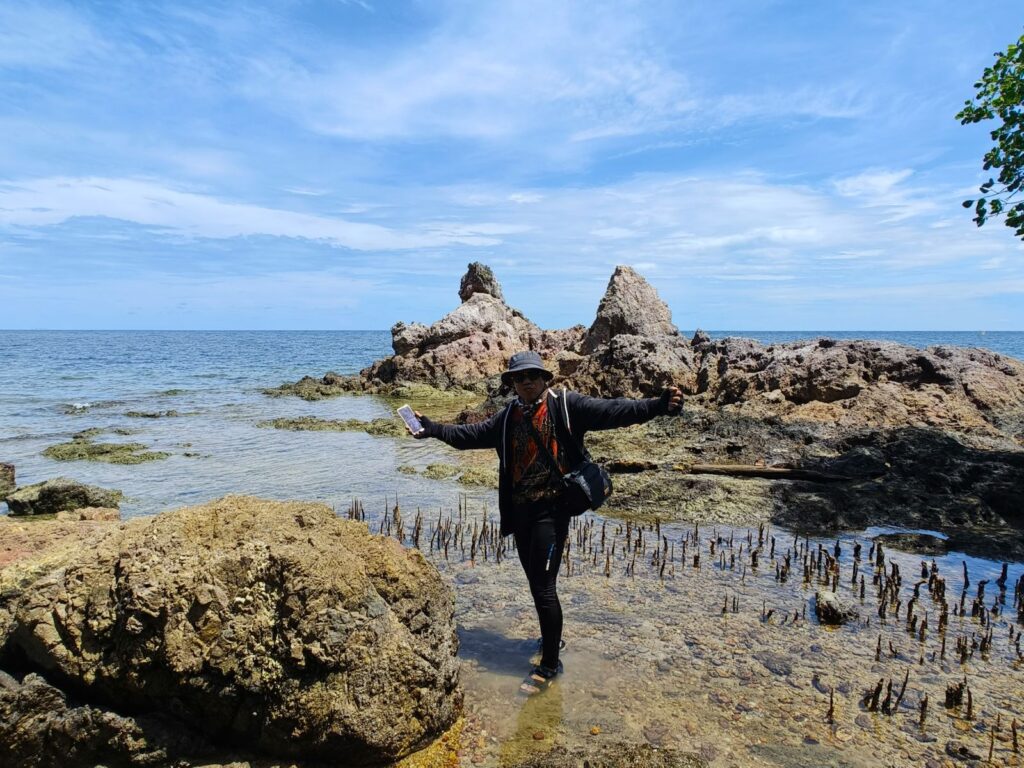 Pulau Sawi