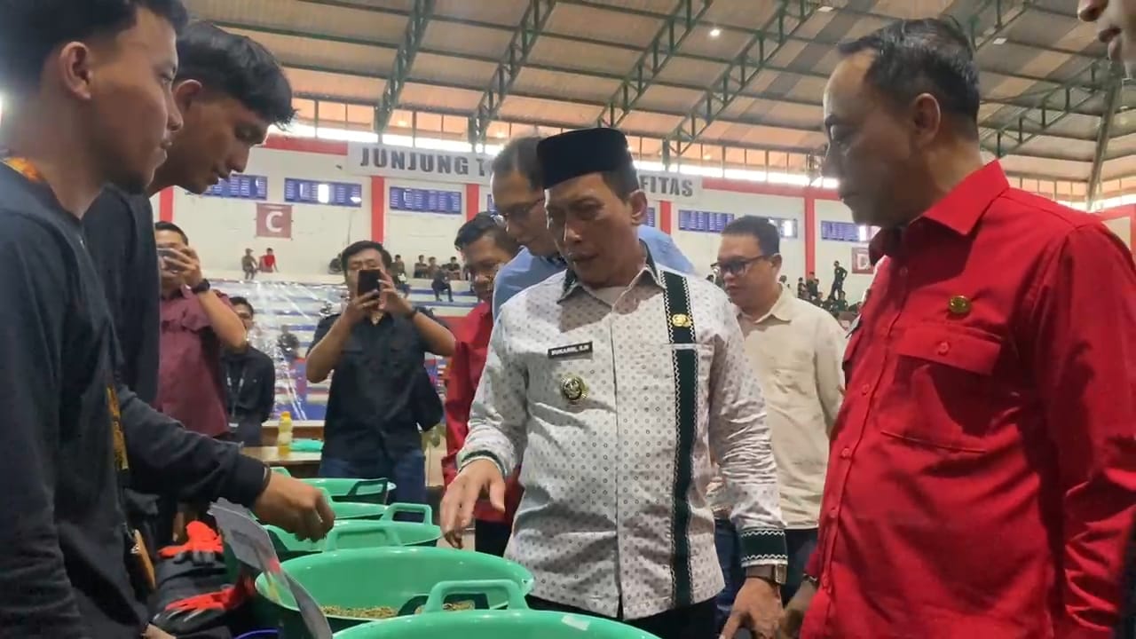 Kratom Kapuas Hulu