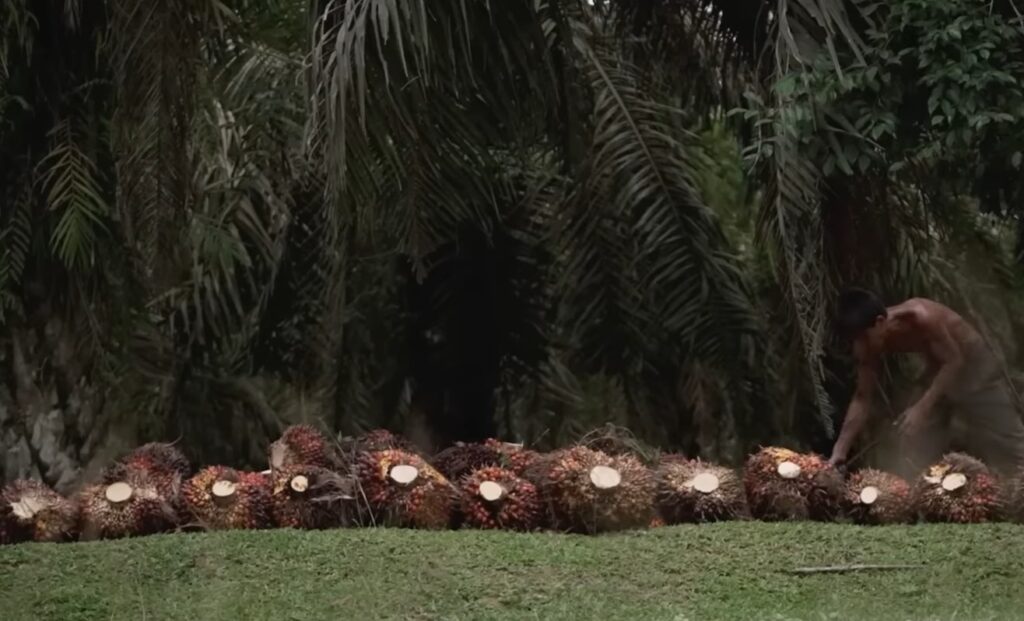 Screenshot_20251029-105630~2