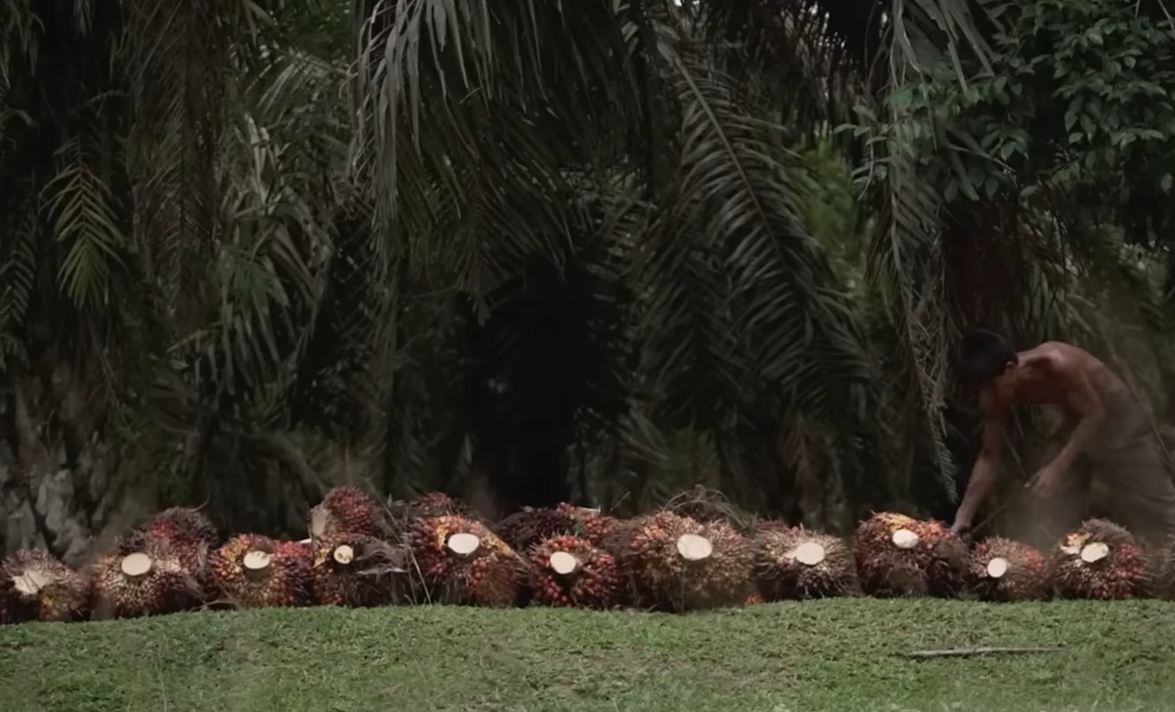 Screenshot_20251029-105630~2