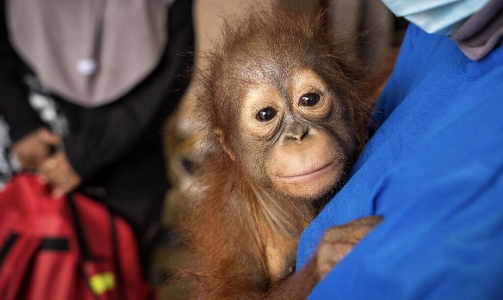 4fa56c31-2224-4db1-8182-62f4281c20e4