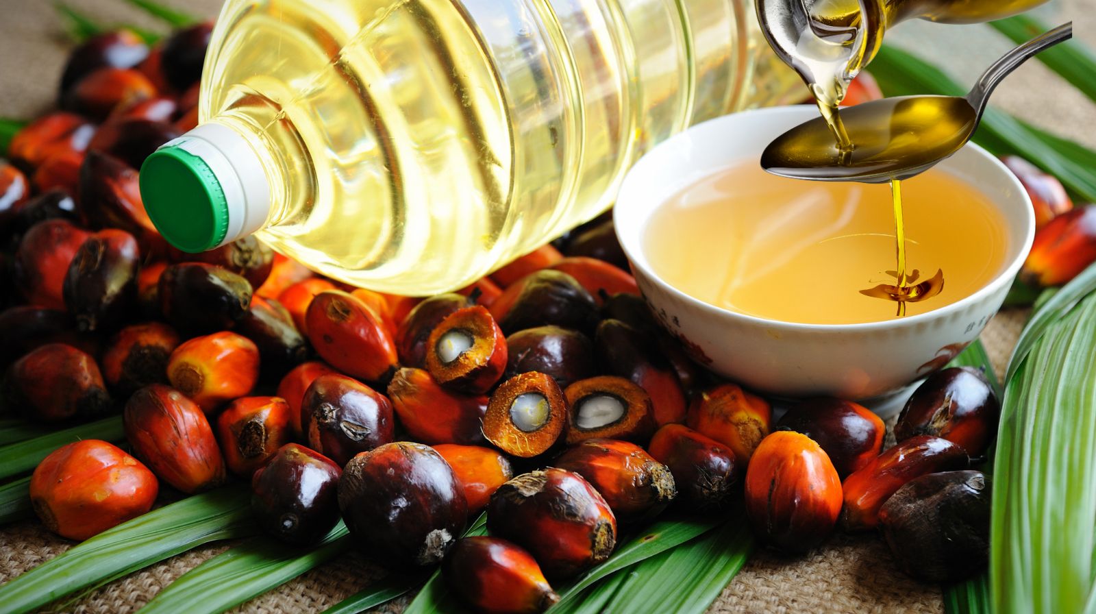 Desain tanpa judul (3)