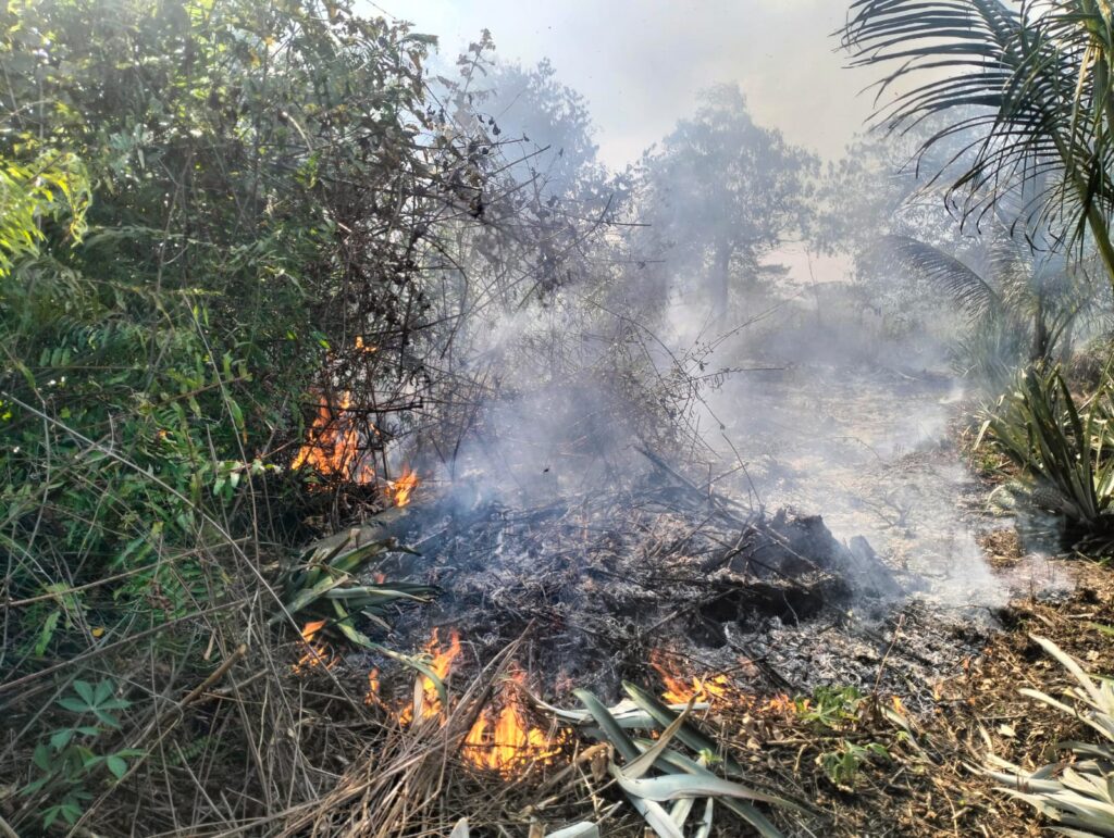 WhatsApp Image 2025-11-21 at 01.30.30