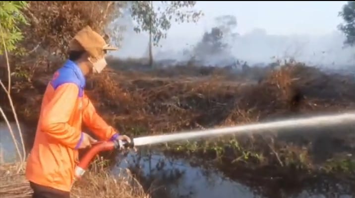 WhatsApp Image 2025-11-22 at 09.00.26