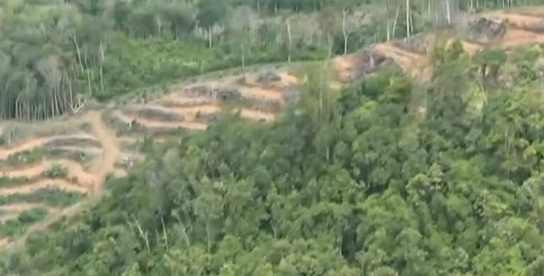 Screenshot_20251205-100535~2