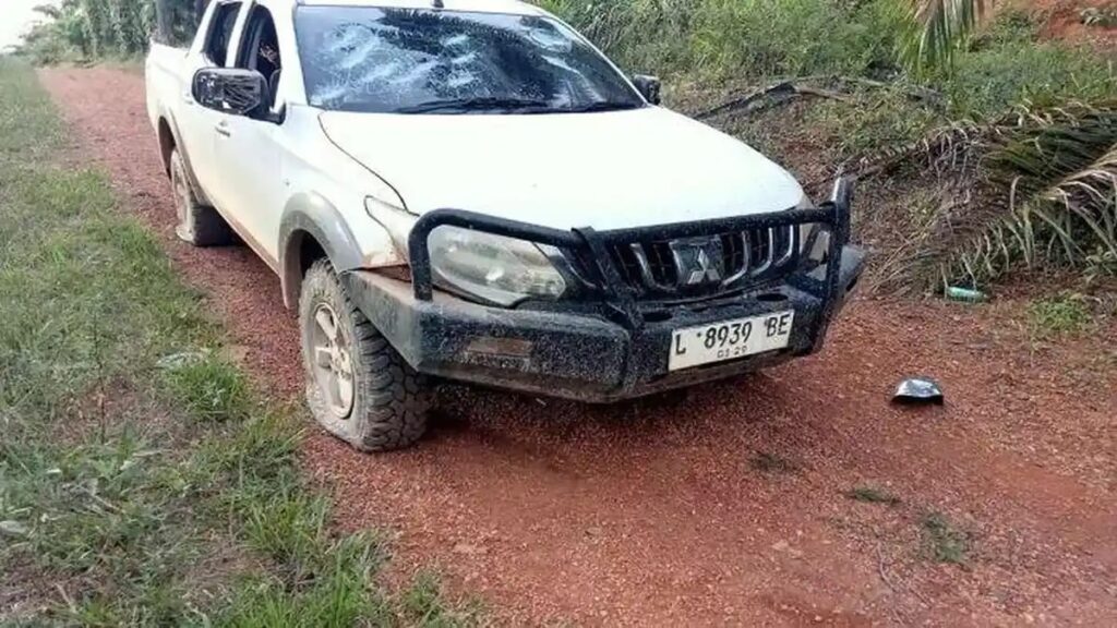 WhatsApp Image 2025-12-15 at 21.47.46