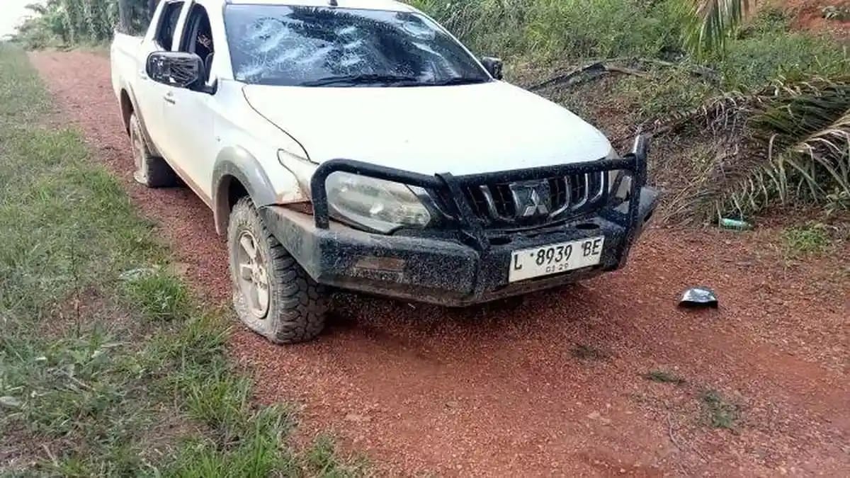 WhatsApp Image 2025-12-15 at 21.47.46