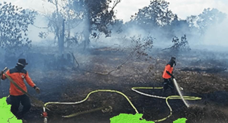 75e5b9c1-8c55-4836-93a2-873c18d78e01