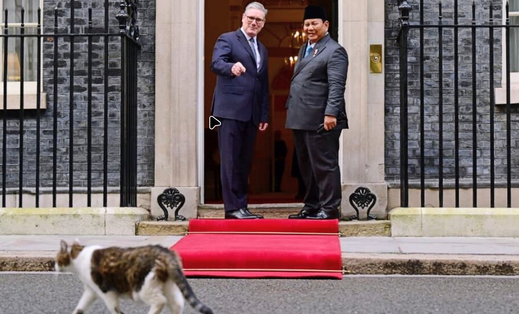 Perdana Menteri (PM) Inggris Keir Starmer mengenalkan Larry the Cat, Chief Mouser to the Cabinet Office sejak 2011 kepada Presiden Prabowo Subianto saat melakukan pertemuan di Kantor PM Inggris, Downing Street, London